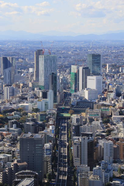 istock Tokyo aerial cityscape, Japan 931400510