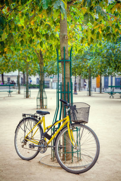 パリでの自転車 - stationary bycicle ストックフォトと画像