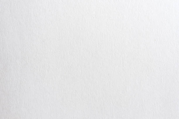 istock Close up White Paper texture and background 931404130