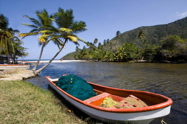 Fishing boat with palm trees