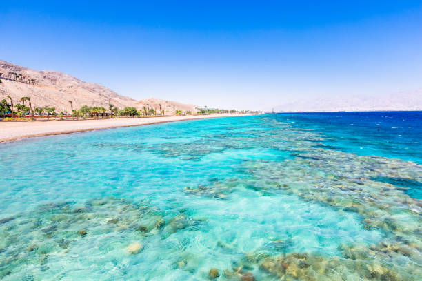 istock Eilat, Israel. Beautiful sea, beachs and mountains. 931408142