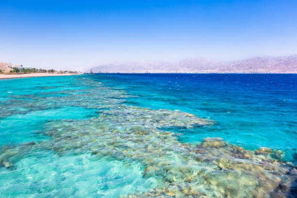 istock Eilat, Israel. Beautiful sea, beachs and mountains. 931408386