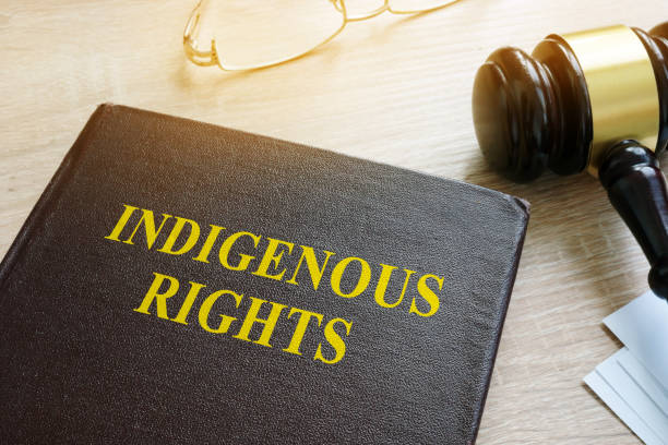 istock Book about Indigenous Rights law and gavel. 931431654
