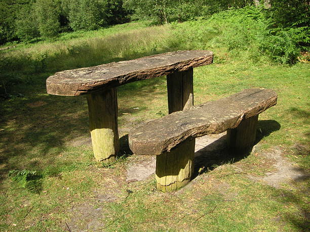 picnic table and bench stock photo