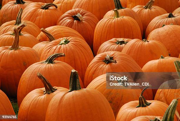 Punkins 0명에 대한 스톡 사진 및 기타 이미지 - 0명, 가을, 경관