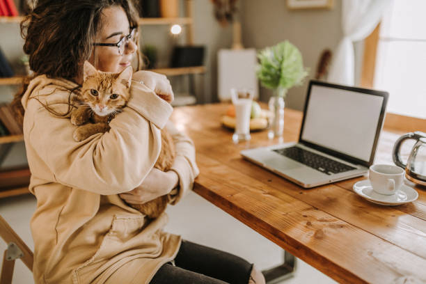 istock It's best for me to work from home 931452554