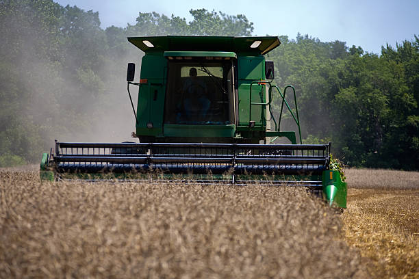 istock Approaching Combine Harvesting Wheat Crop on Farm 93145260