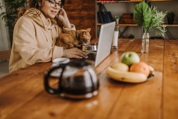 istock Enjoying working with my cat from home 931452760