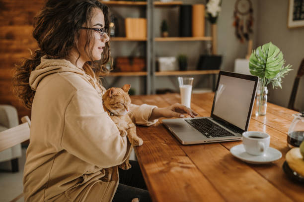 istock Enjoying working with my cat from home 931452830