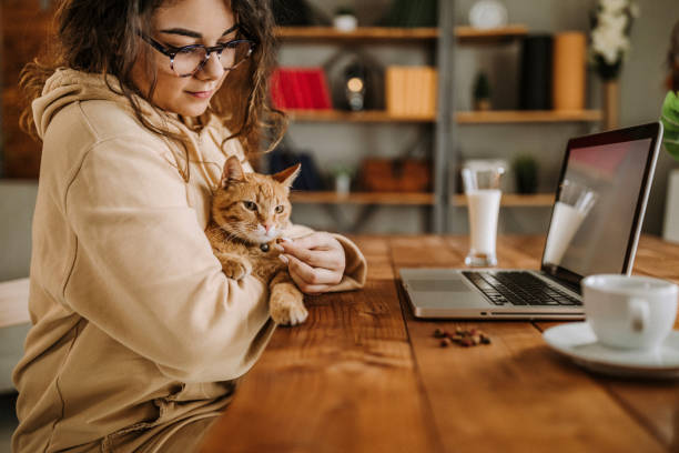 istock Enjoying working with my cat from home 931452980