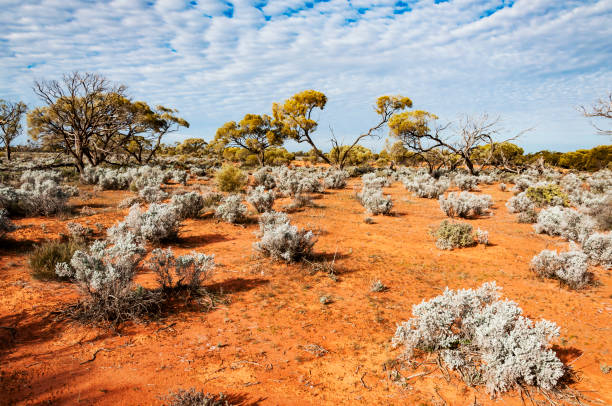 istock The Australian desert, the outback 931453226