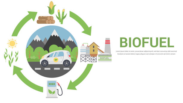 illustrations, cliparts, dessins animés et icônes de cycle de vie des biocarburants - biocarburant