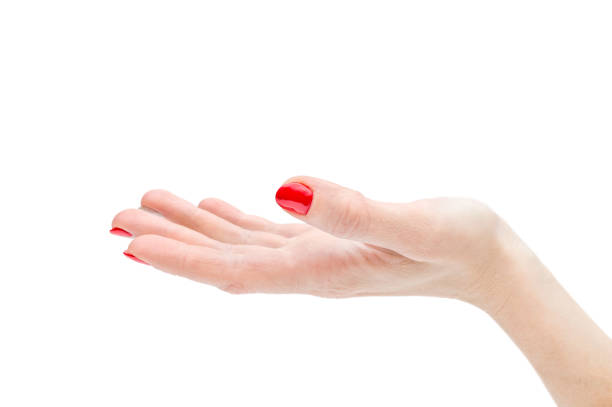 Beautiful female hands with red manicure and nail polish