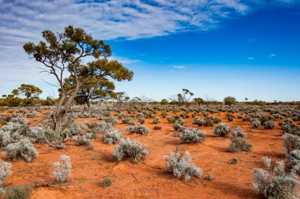 the red center in the Australian desert, the outback in Northern Territory
