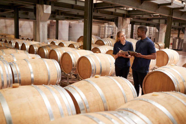 istock Two staff inspecting barrels in a wine factory warehouse 931470420