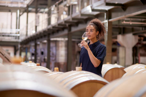 若い女性でワインの試飲ワイン工場倉庫 - winemaking ストックフォトと画像