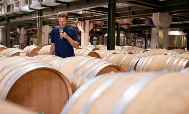 istock Young man wine tasting in a wine factory warehouse 931472764