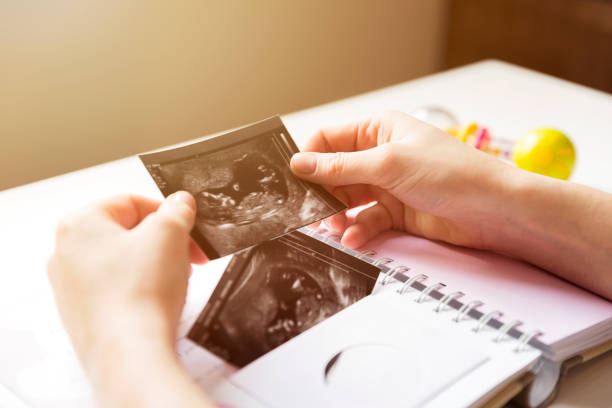 女性の赤ちゃんの最初の年のメモリ本に赤ちゃんの超音波検査を配置します。 - お土産 写真 ストックフォトと画像