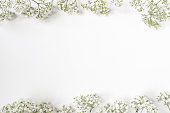 Styled stock photo. Feminine wedding desktop with baby's breath Gypsophila flowers on white background. Empty space. Floral frame, web banner. Top view. Picture for blog or social media