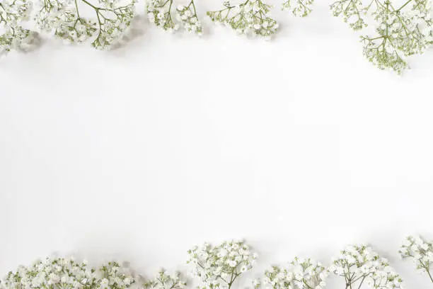 Photo of Styled stock photo. Feminine wedding desktop with baby's breath Gypsophila flowers on white background. Empty space. Floral frame, web banner. Top view. Picture for blog or social media