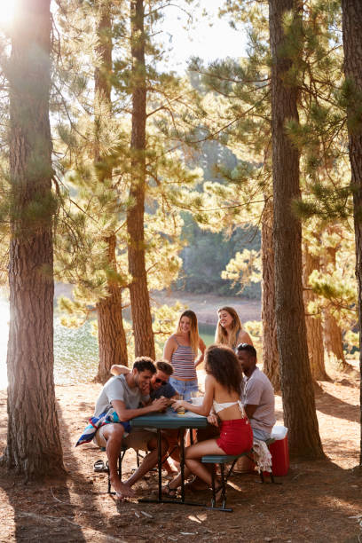 istock Group of friends hanging out at a table by a lake, vertical 931479320