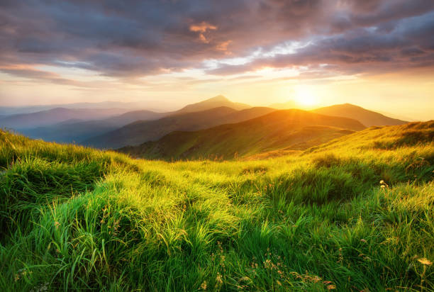 valle de montaña durante la salida del sol. bonito natural reconoce en la época de verano. - meadow sunrise fog sky fotografías e imágenes de stock