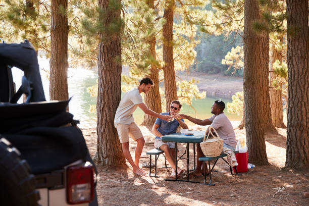 istock Three male friends make a toast at a picnic table by a lake 931479918