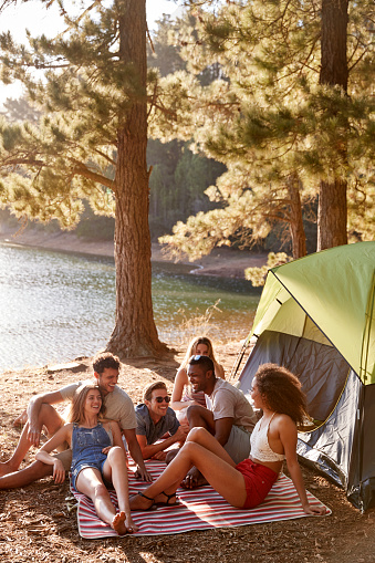 Friends relaxing on a blanket by a lake, vertical