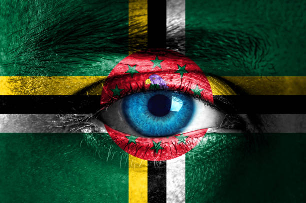 istock Human face painted with flag of Dominica 931480846