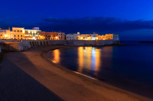 istock Evening Gallipoli Castle, Puglia,  Italy 931480930