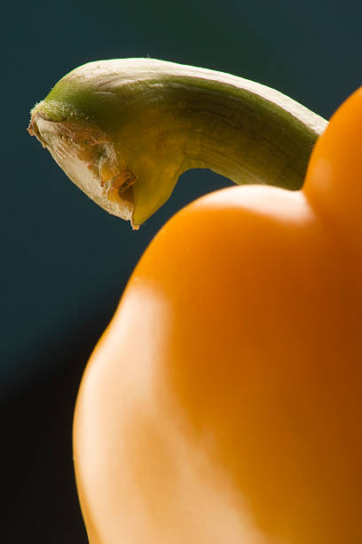 yellow paprika stock photo