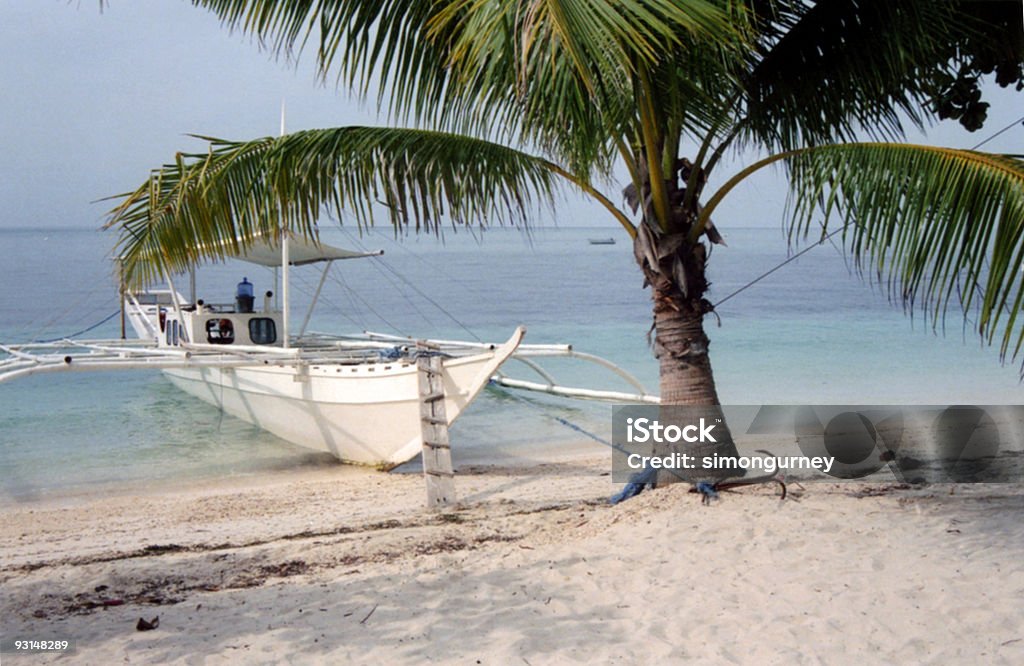 malapascua beach palm tree Filipinas - Foto de stock de Azul royalty-free