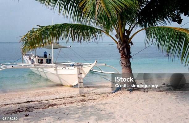 Foto de Malapascua Beach Palm Tree Filipinas e mais fotos de stock de Azul - Azul, Beleza, Beleza natural - Natureza