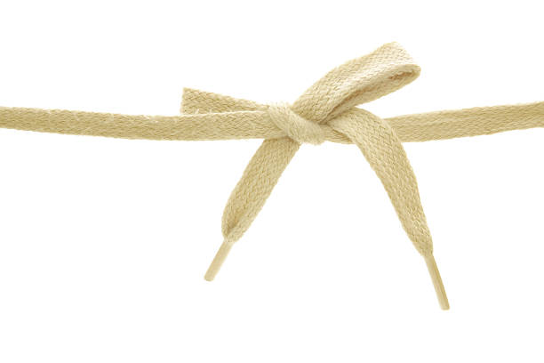 Bow isolated on white 
