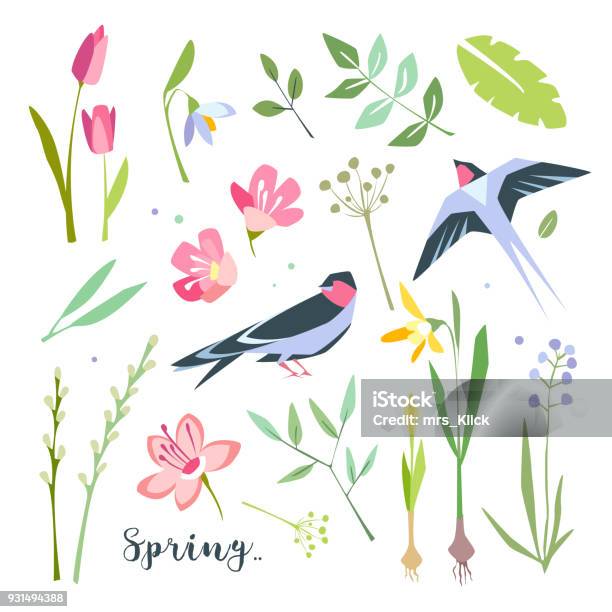 Spring Time Objects Nature Spring Summer Objects Collection With Nature Elements Flowers ...