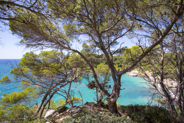 istock Seascape near Cala Mitjana, Menorca, Spain 931497470