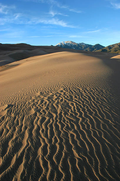istock Great Sand Dunes National Park, CO 93149827