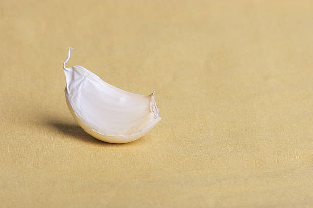 Single clove of garlic on yellow linen. Narrow depth of field. Garlic is a healthy, natural antibiotic.