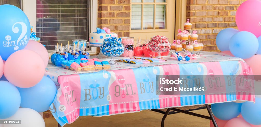 Outdoor Pink and Blue Gender Reveal Party Decoration Pink and blue, girl or boy, outdoor gender reveal party decoration and party favorites. Gender Reveal Party Stock Photo
