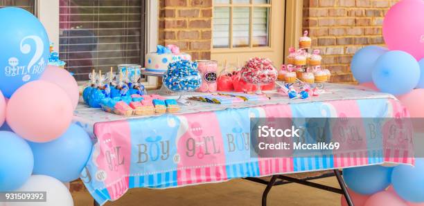 Outdoor Pink And Blue Gender Reveal Party Decoration Stock Photo - Download Image Now
