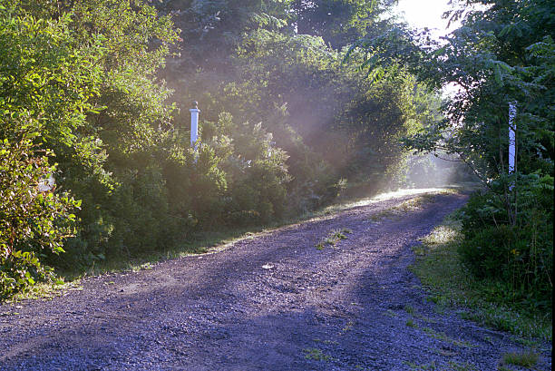 misty country path stock photo