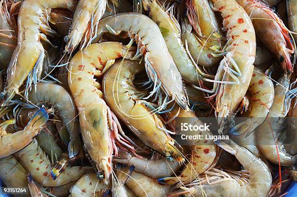 Photo libre de droit de Crevettes banque d'images et plus d'images libres de droit de Aliment - Aliment, Aliment cru, Asie