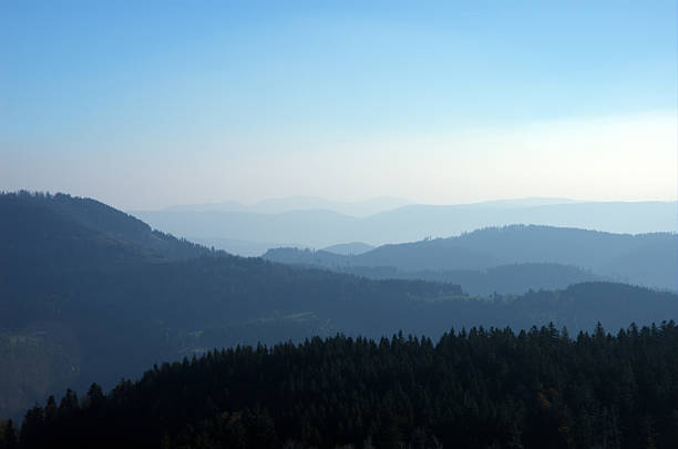 Black Forest in Blue stock photo
