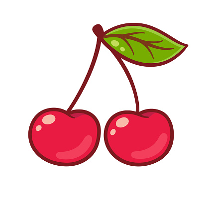 Cartoon drawing of two shiny cherries. Cute and juicy cherry vector illustration.