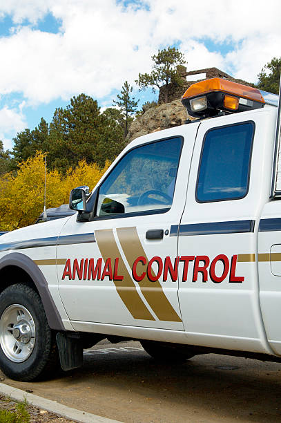 A Shot Of An Animal Control Vehicle Stock Photo - Download Image Now -  Control, Animal, Police Force - iStock