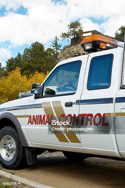 A Shot Of An Animal Control Vehicle Stock Photo - Download Image Now - Control, Animal, Police Force