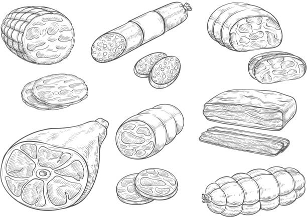 illustrations, cliparts, dessins animés et icônes de vector sketch iocon des produits de viande et saucisse - butchers shop butcher meat delicatessen