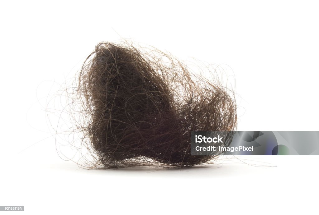 Isolated Pile Of Hair Clipped, knotted hair on a white background. Hair Stock Photo