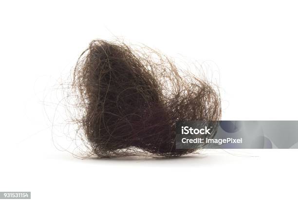 Isolated Pile Of Hair Stock Photo - Download Image Now - Hair, Sports Ball, Bunch