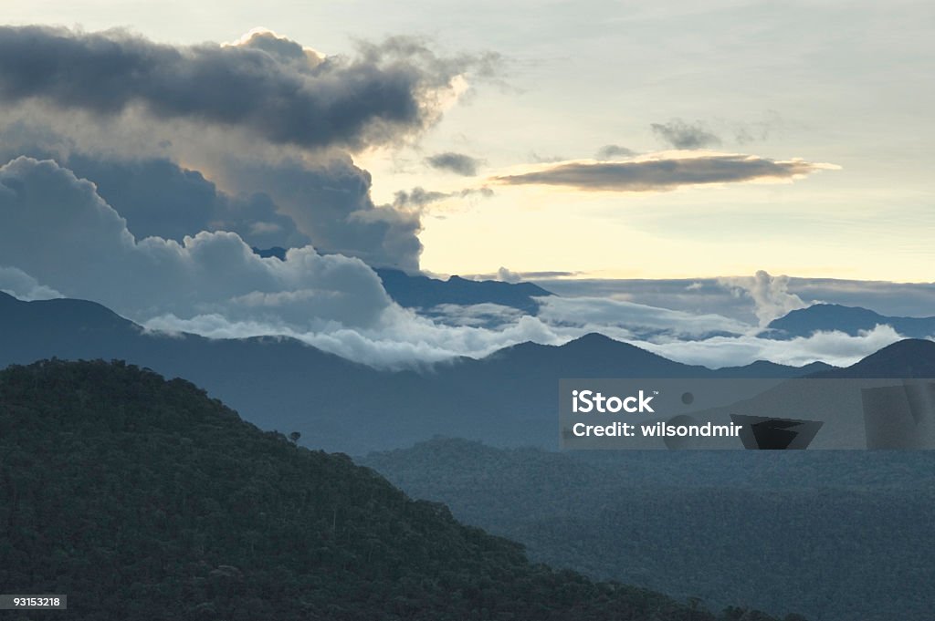 Floresta Nublada - Foto de stock de Amazônia peruana royalty-free